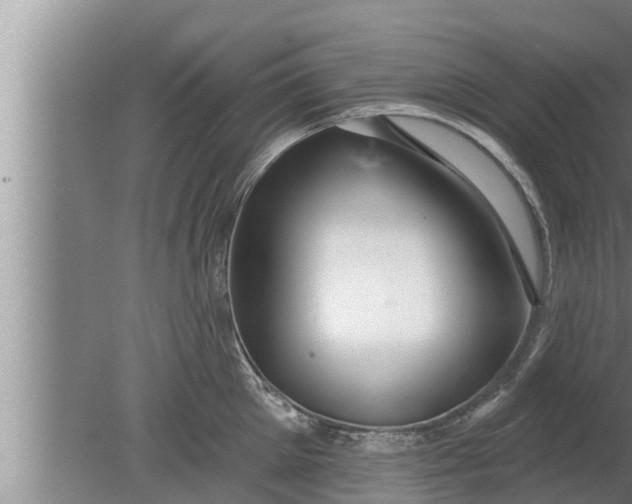 X0000080130905200612221854