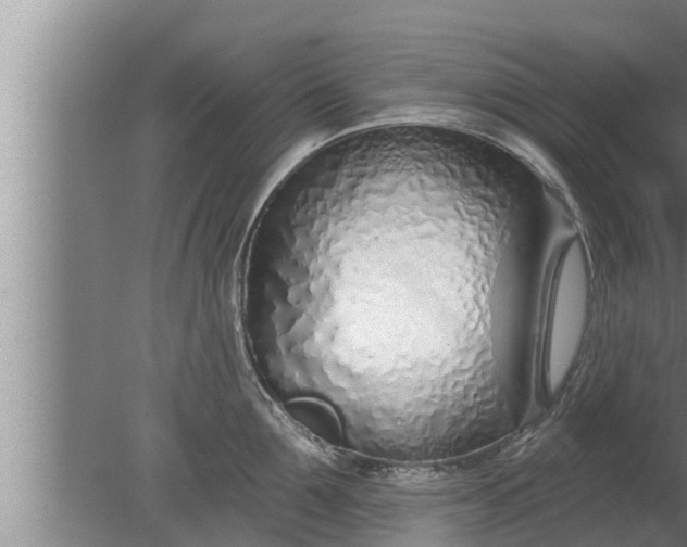 X0000080130907200612221854