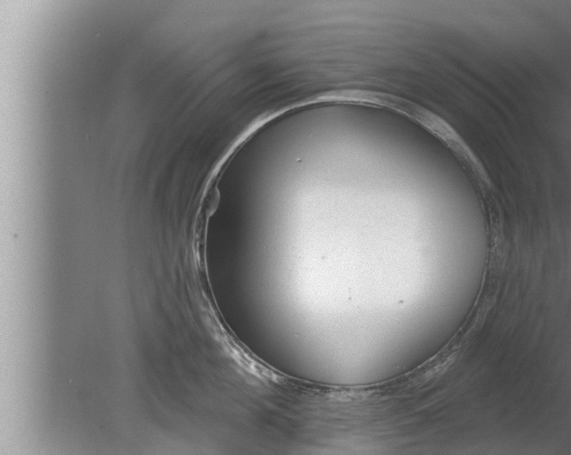 X0000080130908200612221854