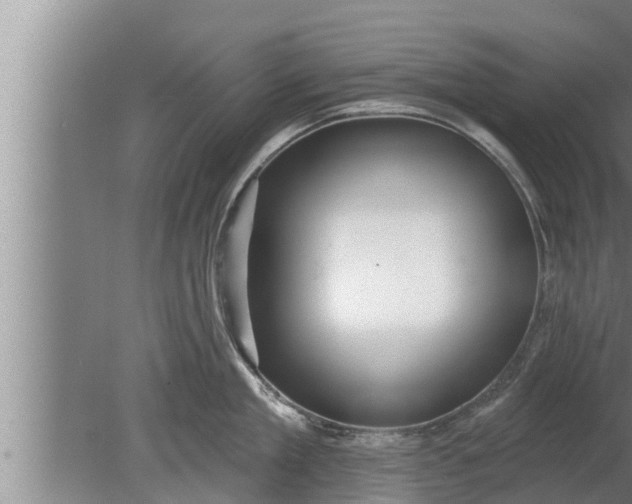 X0000080130909200612221854