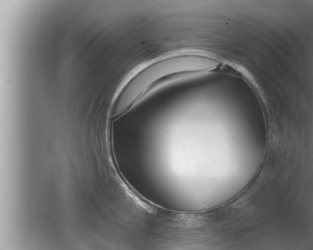 X0000080130910200612221854