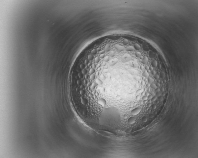 X0000080130911200612221854