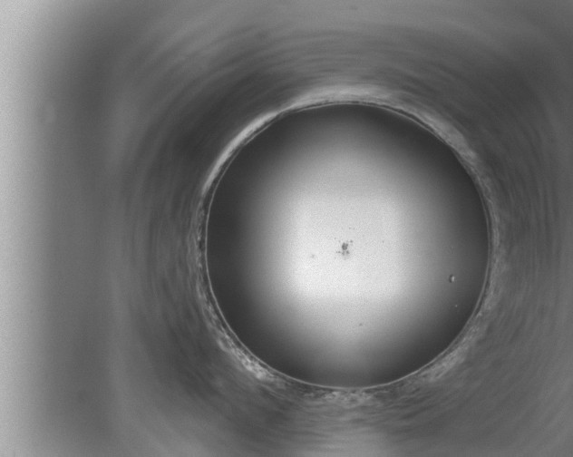 X0000080130912200612221854