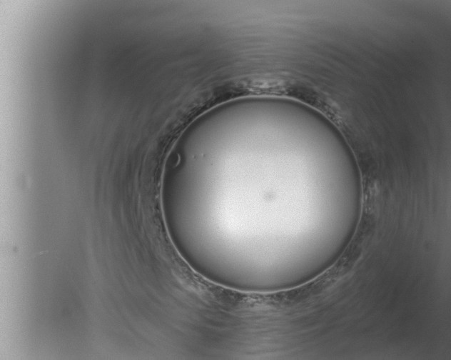 X0000080130913200612221853