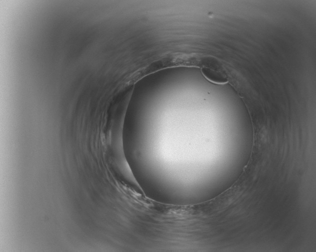 X0000080130914200612221853