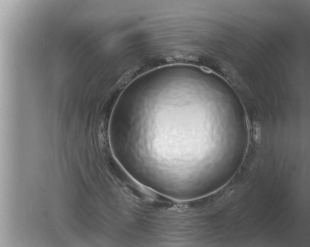 X0000080130915200612221853