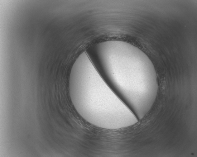 X0000080130916200612221853