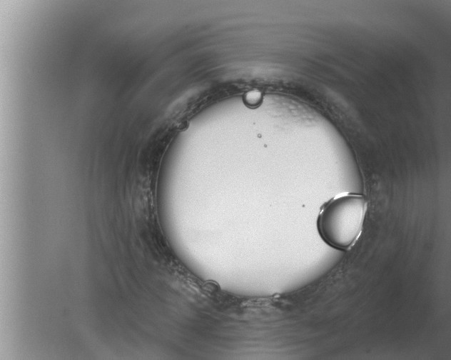 X0000080130918200612221853