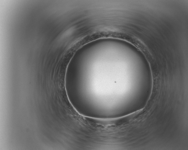 X0000080130919200612221853