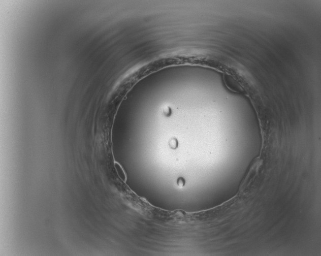 X0000080130920200612221853