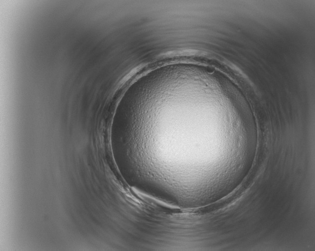 X0000080130921200612221853