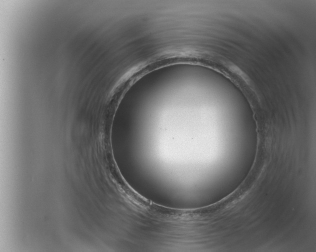 X0000080130922200612221853