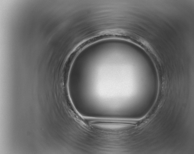 X0000080130923200612221853