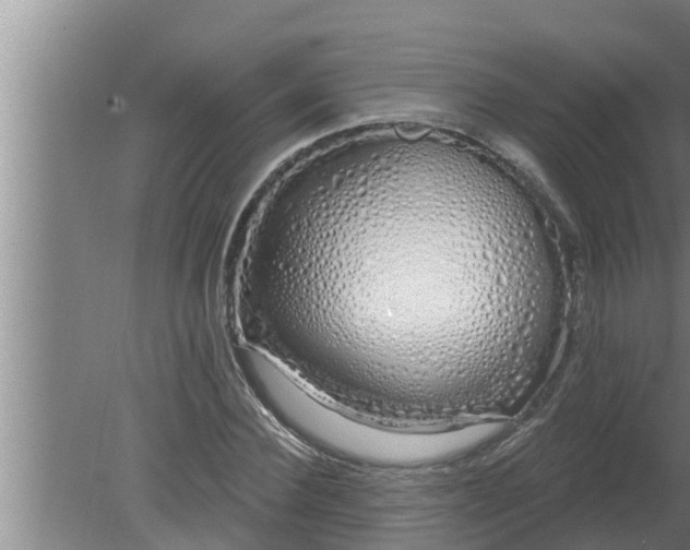 X0000080130924200612221853