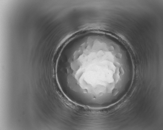 X0000080130925200612221853