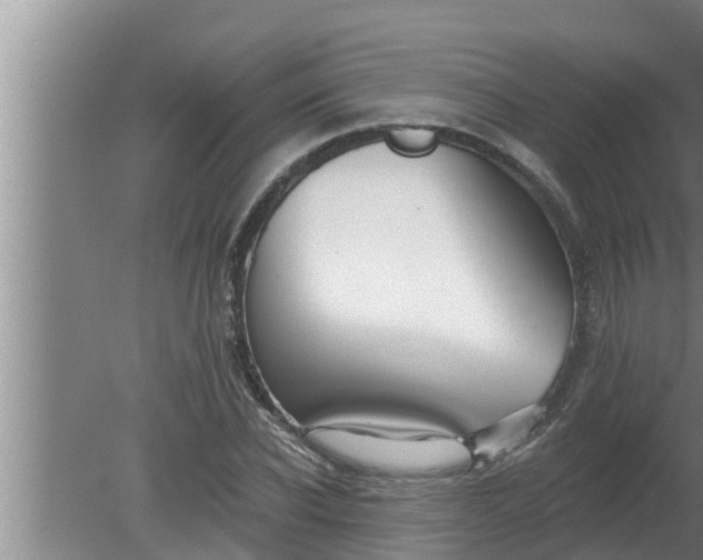 X0000080130926200612221853