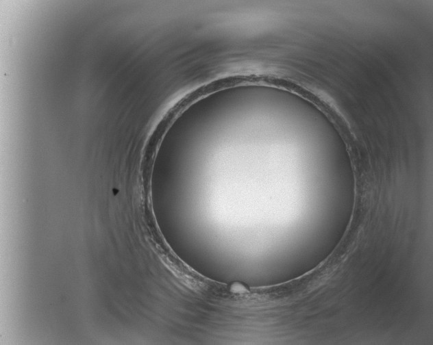 X0000080130927200612221853