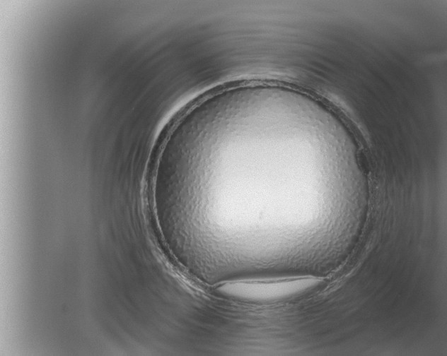 X0000080130928200612221853