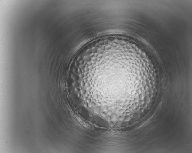 X0000080130929200612221853