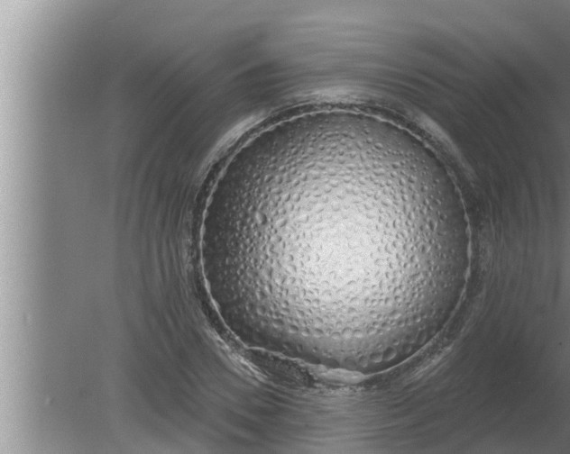 X0000080130930200612221853