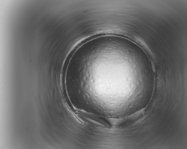 X0000080130932200612221853