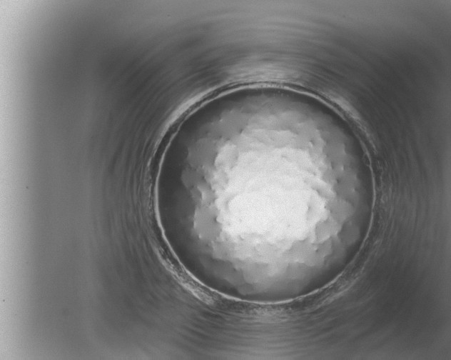 X0000080130933200612221853