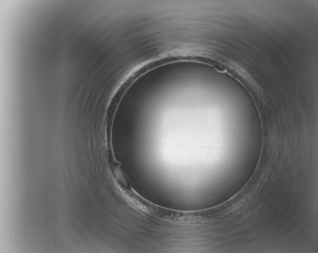 X0000080130934200612221853