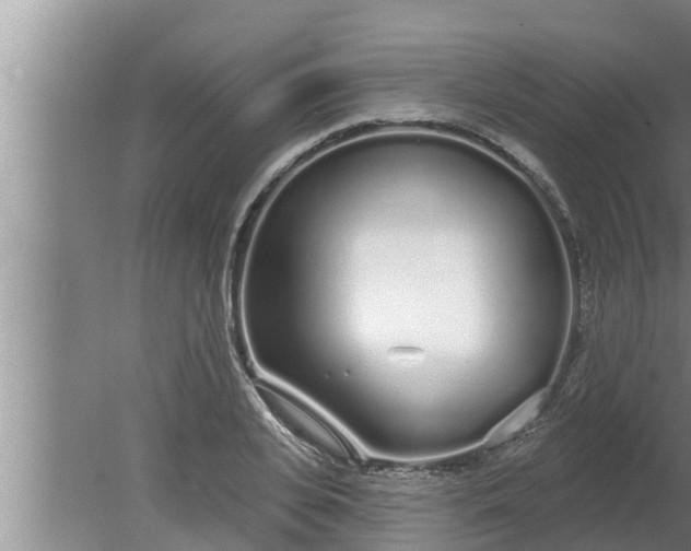 X0000080130935200612221853