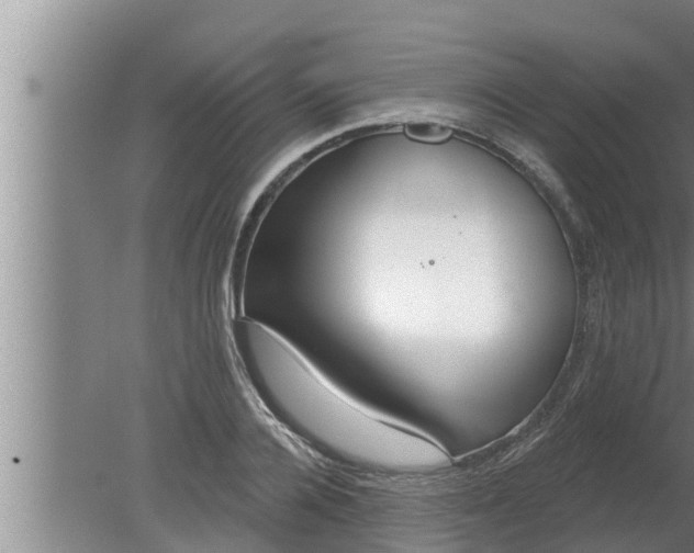 X0000080130936200612221853