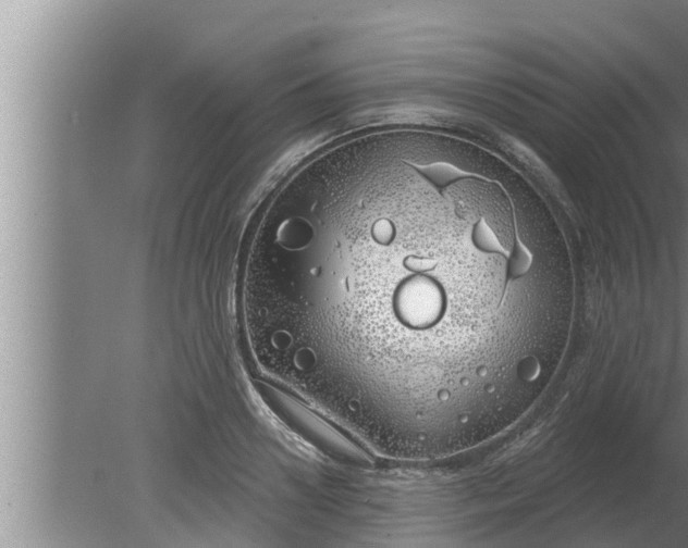 X0000080130938200612221853