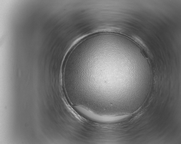 X0000080130940200612221853