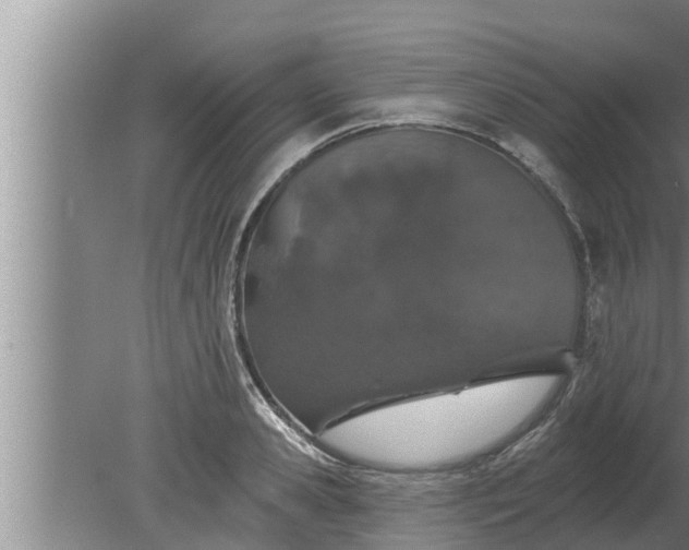 X0000080130941200612221853