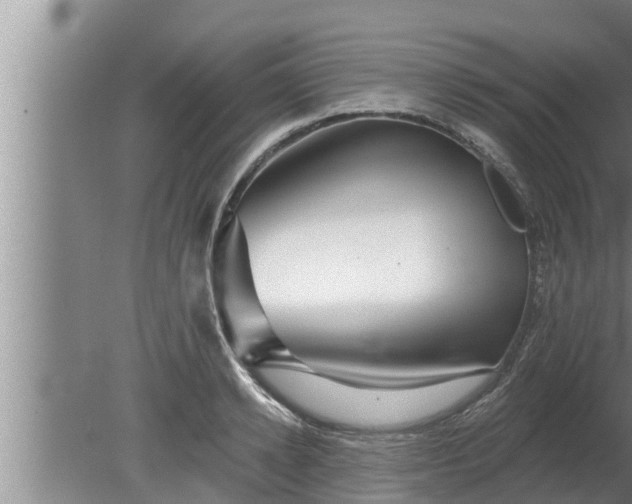 X0000080130942200612221853