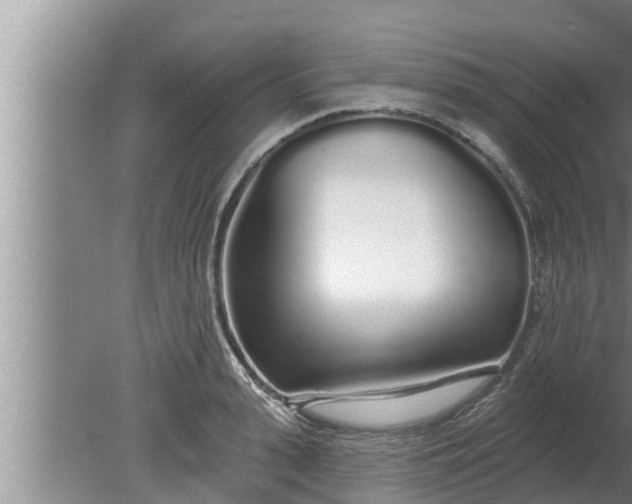 X0000080130943200612221853