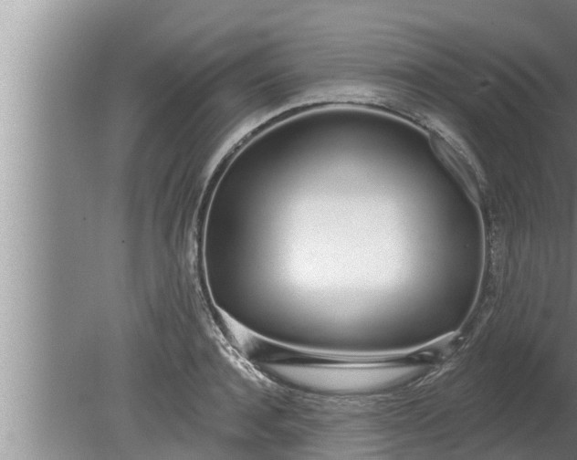 X0000080130944200612221853