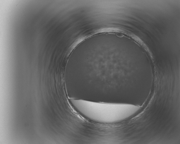 X0000080130945200612221853