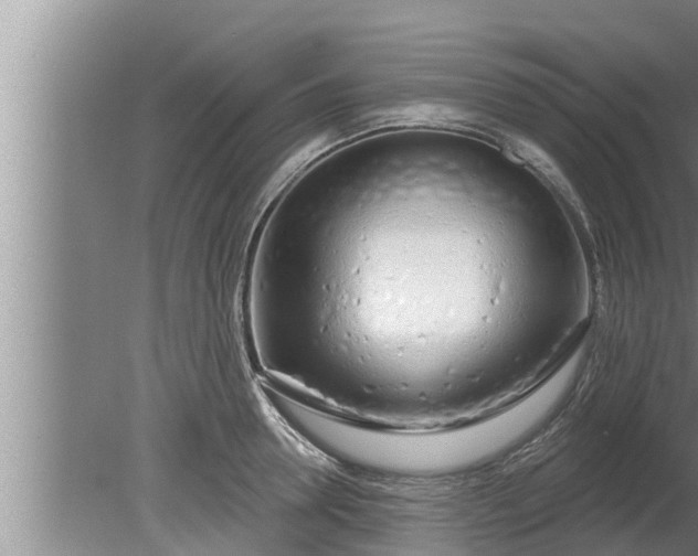 X0000080130946200612221854