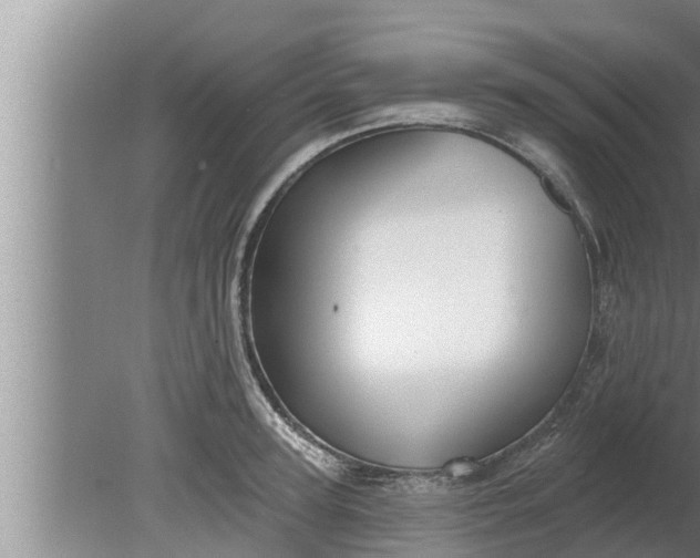 X0000080130947200612221854