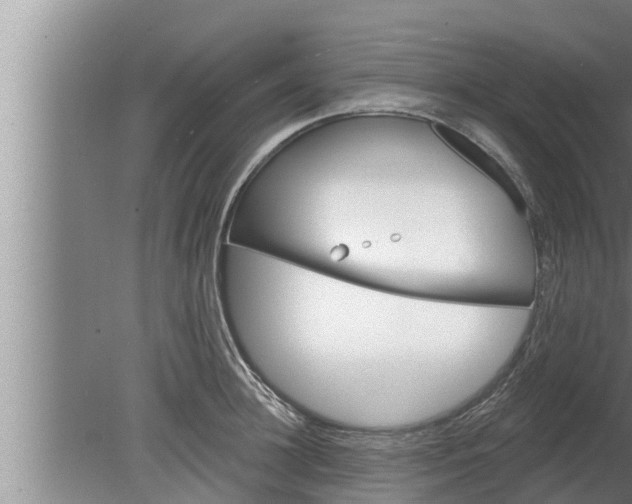 X0000080130948200612221854