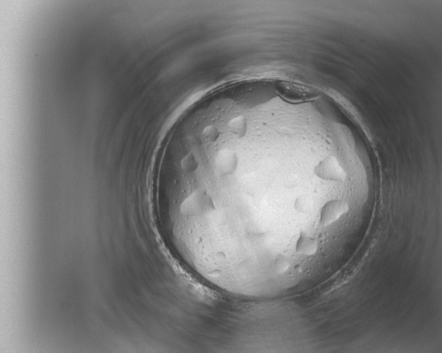 X0000080130949200612221854