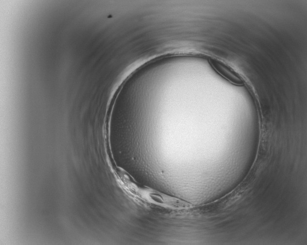 X0000080130951200612221854