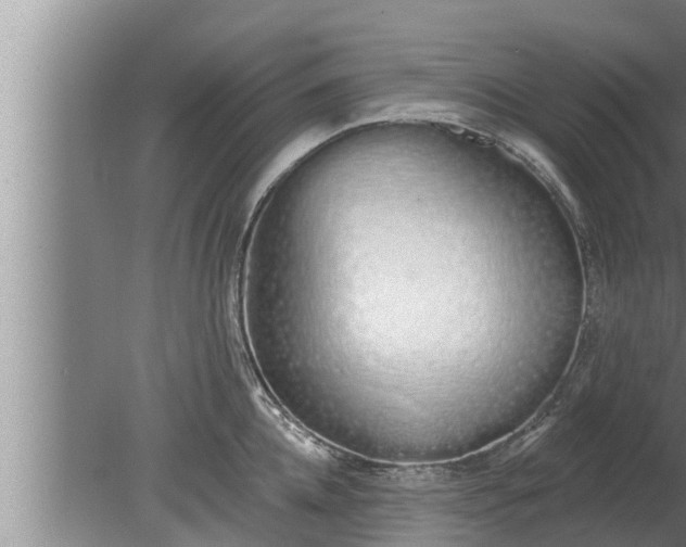 X0000080130952200612221854