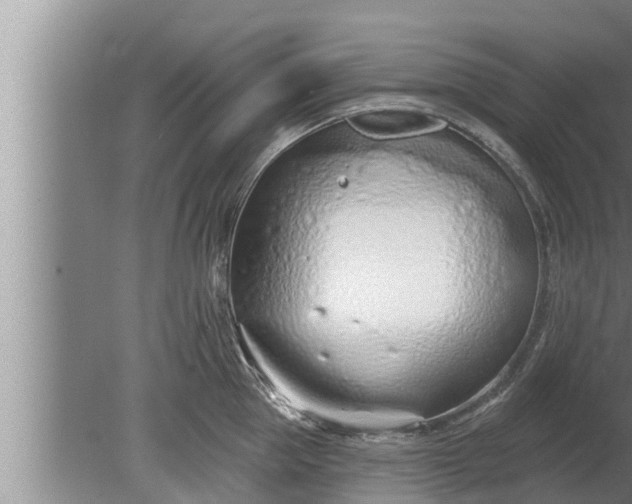 X0000080130953200612221854