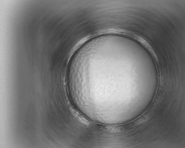 X0000080130954200612221854