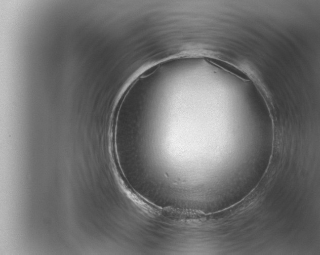 X0000080130955200612221854