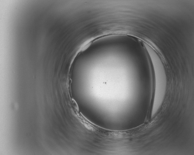 X0000080130956200612221854