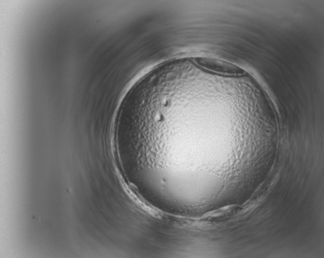 X0000080130957200612221854