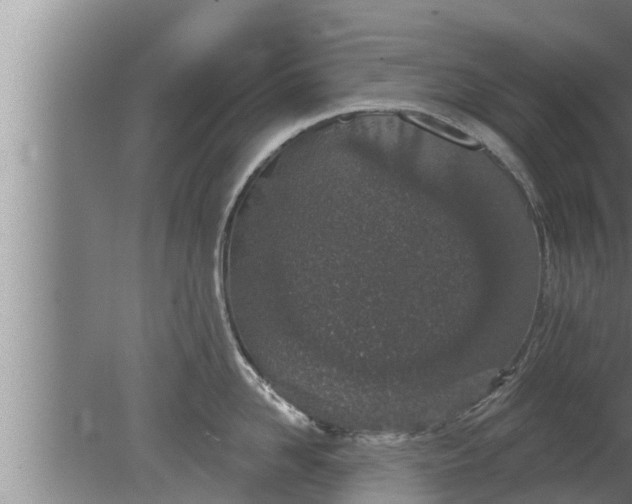 X0000080130958200612221854