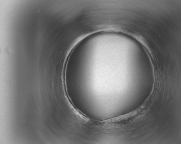 X0000080130959200612221854