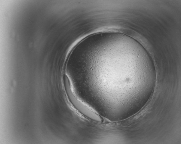 X0000080130960200612221854